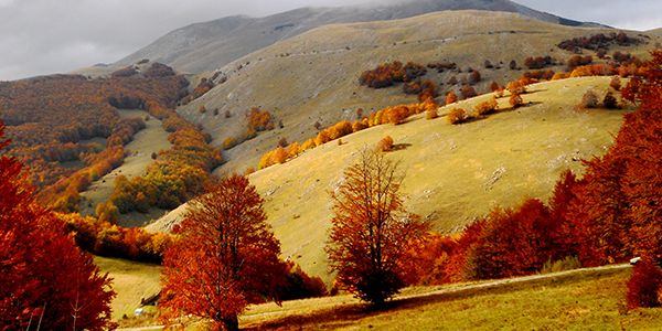 Igman mountain in autumn — the lungs of Sarajevo